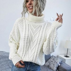 Turtleneck knit sweater